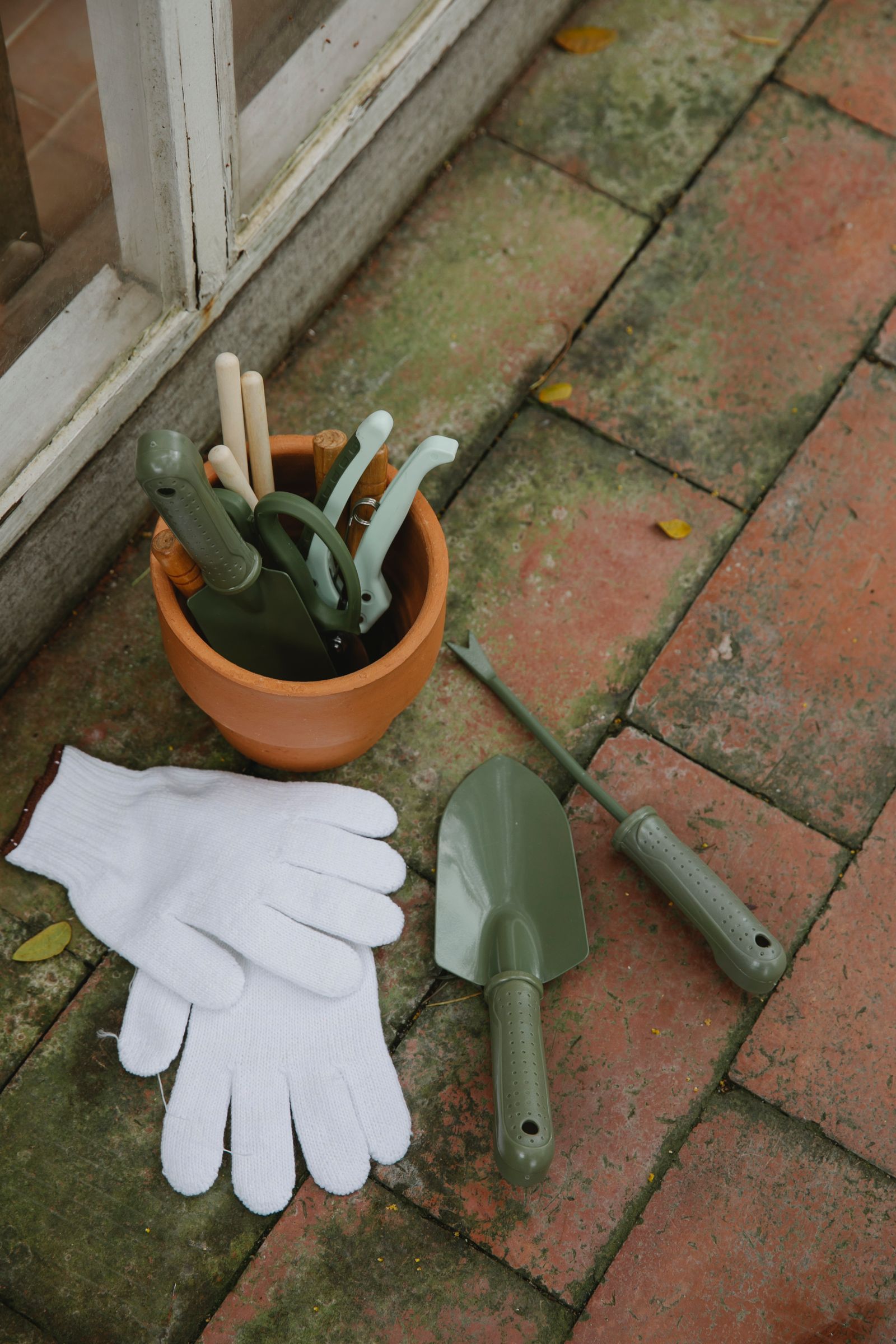 Hand tools and gloves set out on a brick path